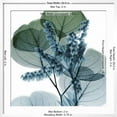 thumbnail image 5 of Art.com Lilly of Eucalyptus Art Print by Albert Koetsier, White Frame Wall Art, 29" x 29", 5 of 5