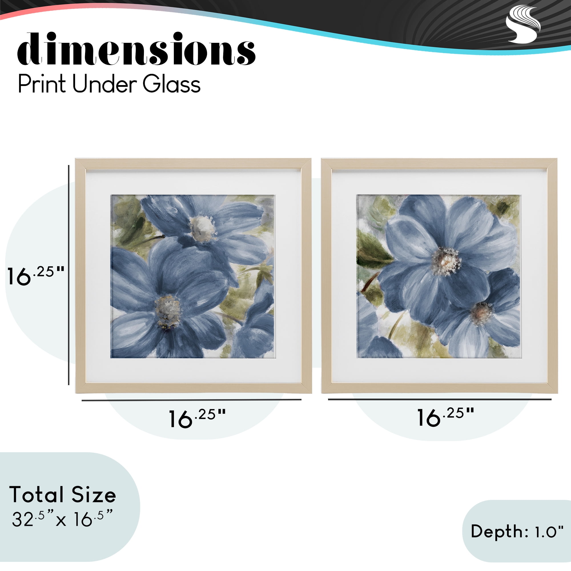 Stupell Industries Floral Walk in Beauty 2 Piece Birch Framed Print Under Glass Set, design by Lanie Loreth