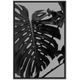 thumbnail image 3 of PixonSign Framed Canvas Print Wall Art Monstera Leaf on Gray Background Nature Plants Photography Modern Art Chic Relax/Calm Dark Black and White for Living Room, Bedroom, Office - 24"x36" Black, 3 of 5