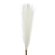 thumbnail image 1 of Uxcell 12Pcs Hierba de Pampas Falsa de 21" para Decoración de Bodas Crema, 1 of 7