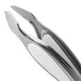 thumbnail image 6 of Equate Beauty Comfort Grip Adult Stainless Steel Slant Tip Tweezers, 6 of 10