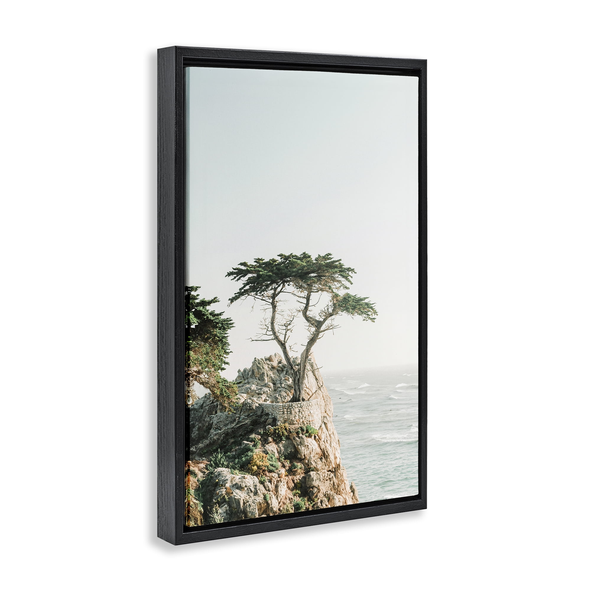 Stupell Industries Tree on Beachside Cliff Nautical & Beach Photography Black Floater Framed Canvas Art Print Wall Art, 17 x 25