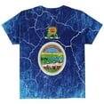 thumbnail image 2 of Kansas Vintage Distressed State Flag All Over Youth T Shirt Multi YMD, 2 of 2