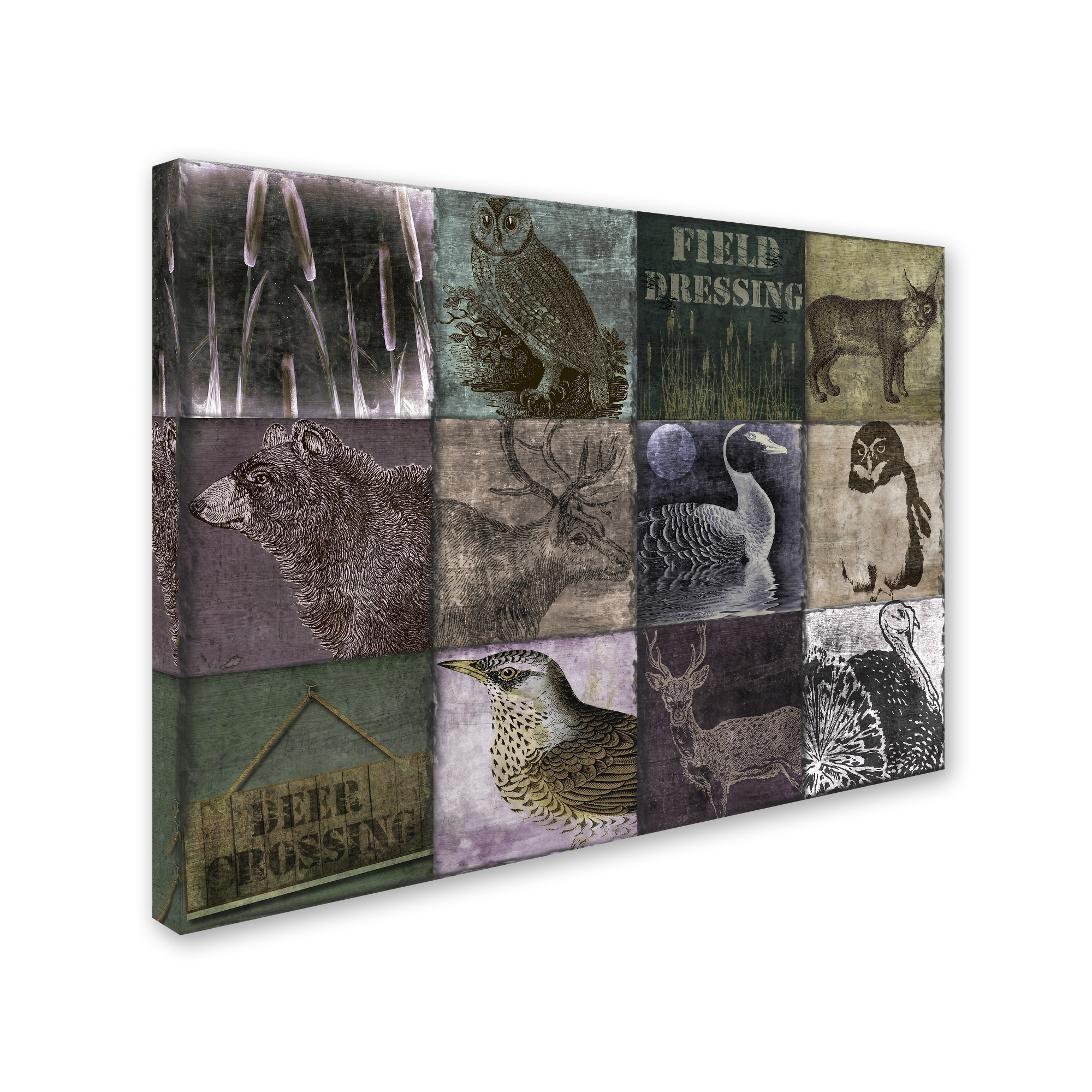 Trademark Fine Art "Hunting Season VI" Canvas Art by Color Bakery