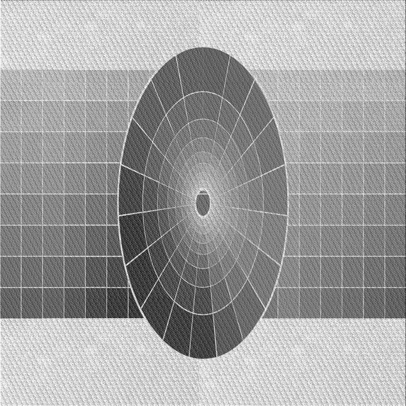 Ahgly Company Indoor Square Patterned Gray Goose Gray Area Rugs, 8' Square
