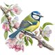 thumbnail image 5 of Hilo de bordar Algodón ecológico completo 18CT Flores impresas Punto de cruz de pájaros, 5 of 9