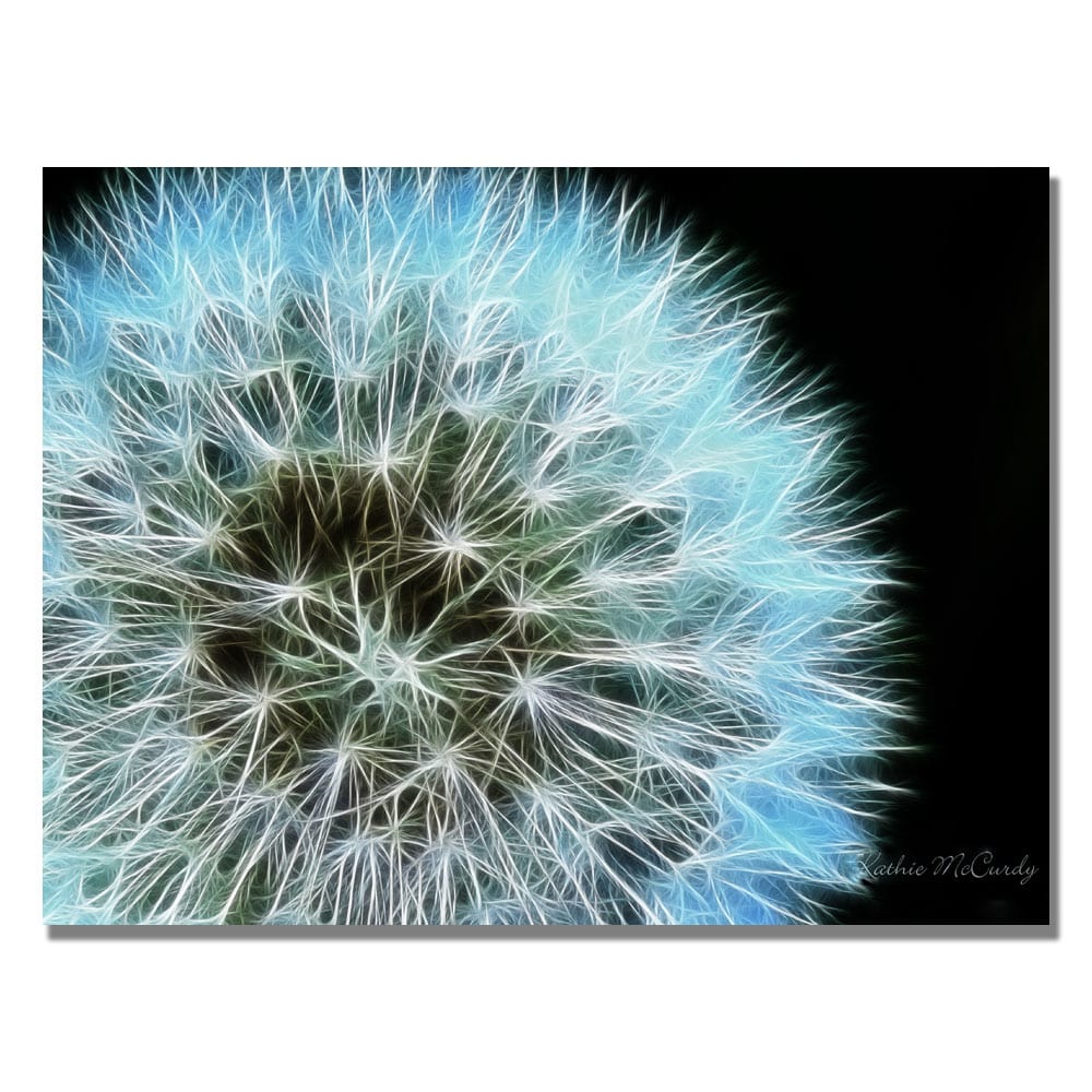 Trademark Art "Dandelion Seed Head Full" Canvas Art by Kathie McCurdy