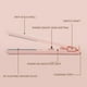 thumbnail image 5 of 2 In 1 Multi Styling Hair Straightener Curler Mini Travel Hair Crimper Flat Iron Portable Hair Styling Tool for Women, 5 of 5