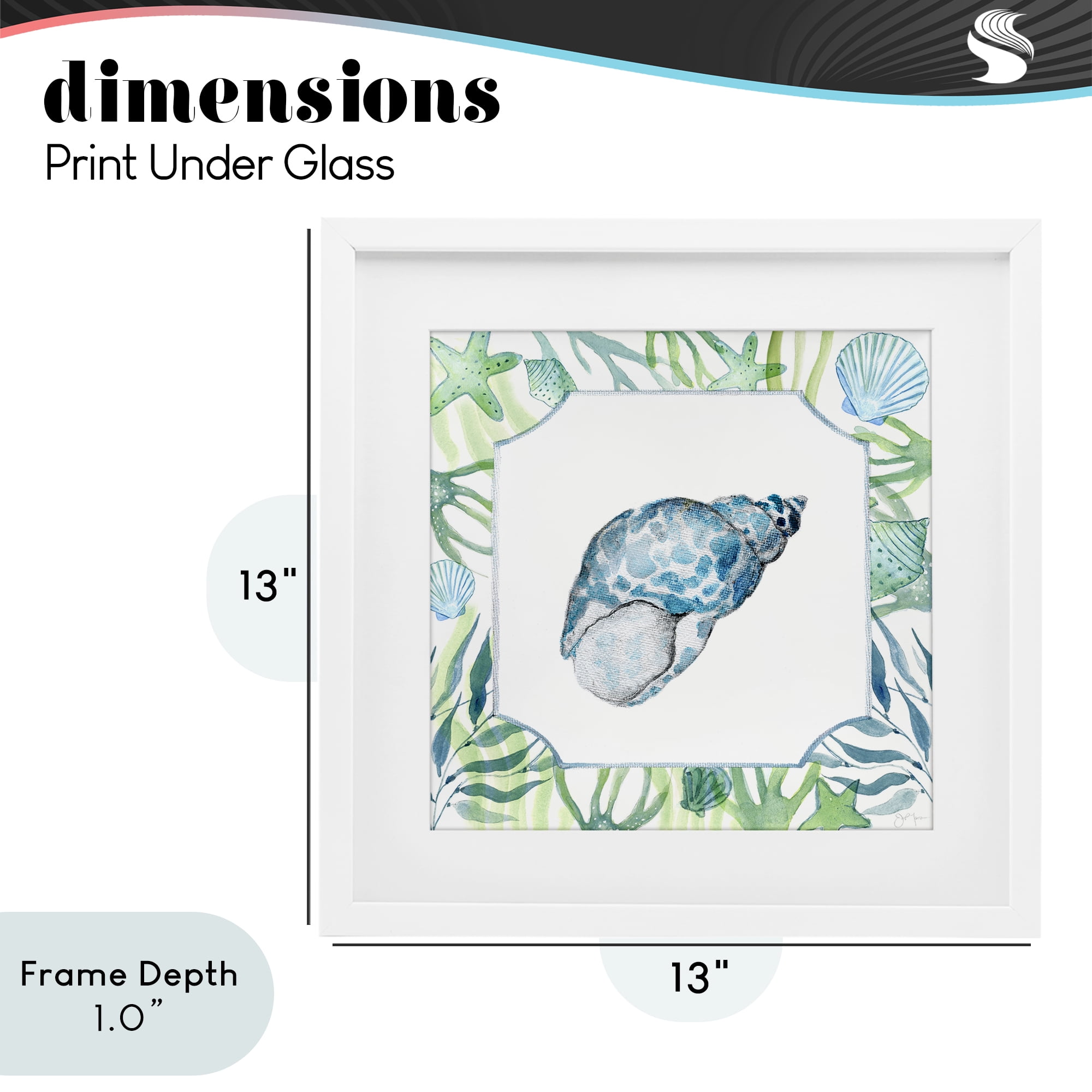 Stupell Industries Spotted Cowrie with Seaweed White Framed Print Under Glass, design by Janet Tava