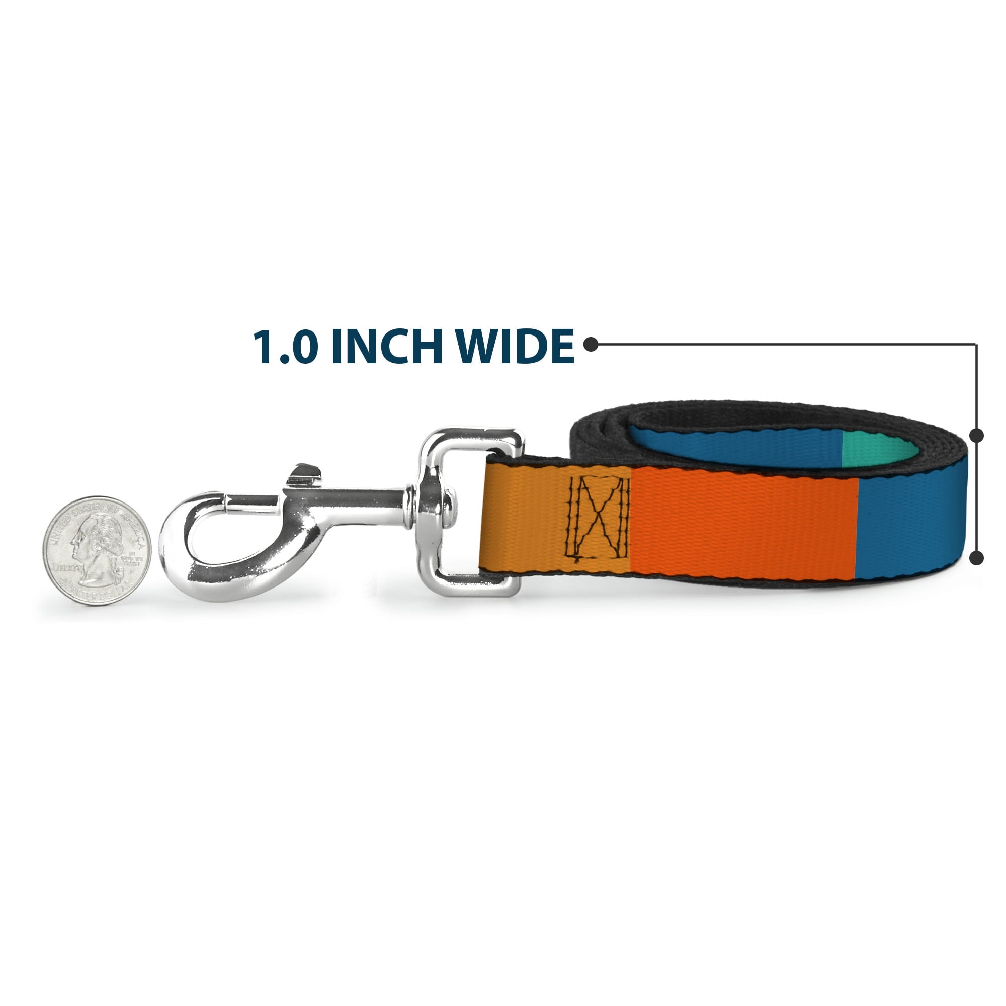 Buckle-Down Pet Leash, Dog Leash, Summer Essentials Color Block 2, 6 Feet Long 1.0 Inch Wide