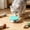 Green, variant on Silicone Can Topper, Reusable Airtight Seal for Dog Cat Cans, Refrigerator Safe, Universal Fit, Pet Food Can Lids
