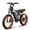 48V-16AH-Black, variant on Bike U Lock,Heavy Duty Bicycle U Lock with Mount Holder for Mountain Bikes, Ebikes,Bluvall Ebike（Free Gift Ship with SU8 Ebike）