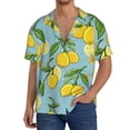 thumbnail image 3 of Disketp Men's Hawaiian Lemon Print Shirts Button Down Holiday Beach Shirts-XX-Large, 3 of 7