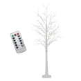 thumbnail image 1 of Luz de árbol de abedul Gloria LED 60cm 55 LED, 1 of 9