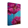 thumbnail image 2 of Trademark Fine Art 'Pink Poppies On Blue' Canvas Art by Cherie Roe Dirksen, 2 of 3