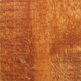 thumbnail image 2 of Wood Defender Transparent Fence Stain REDWOOD Gallon, 2 of 9
