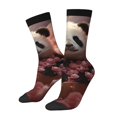thumbnail image 1 of Fotbe Cute Cloud Panda Calcetas Largas con Estampado para Hombre y Mujer – Calcetas de Compresión Transpirables y Elásticas, Viajar y Uso Diario Talla 5-11, 1 of 6