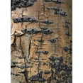 thumbnail image 2 of Fitzharris, Tim 19x24 Gold Ornate Wood Framed with Double Matting Museum Art Print Titled - Aspen Bark II, 2 of 4