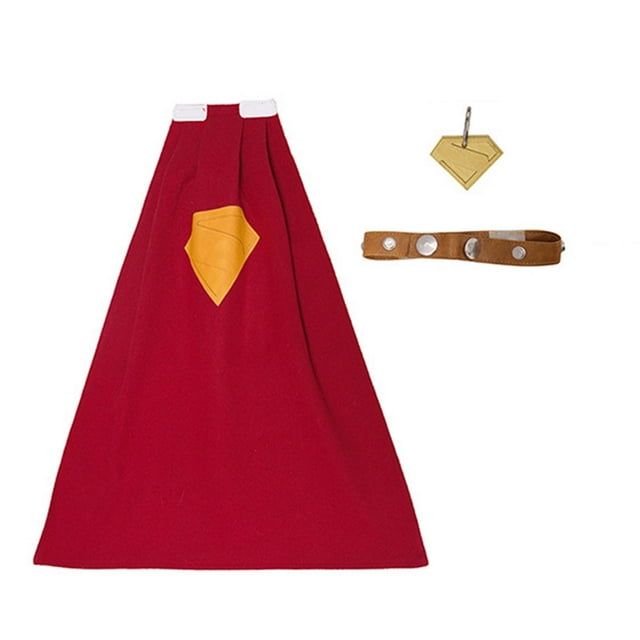 Cape d'Halloween pour Chien avec Collier et Ensemble pour Tenue de Fête