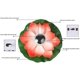 thumbnail image 3 of Piscina Lámpara solar flotante Luces de loto LED Jardín de flores a prueba de agua Lámpara de linterna solar Flor de loto Loto flotante Solar Linterna al aire libre Jardín Ormromra GX-558, 3 of 4