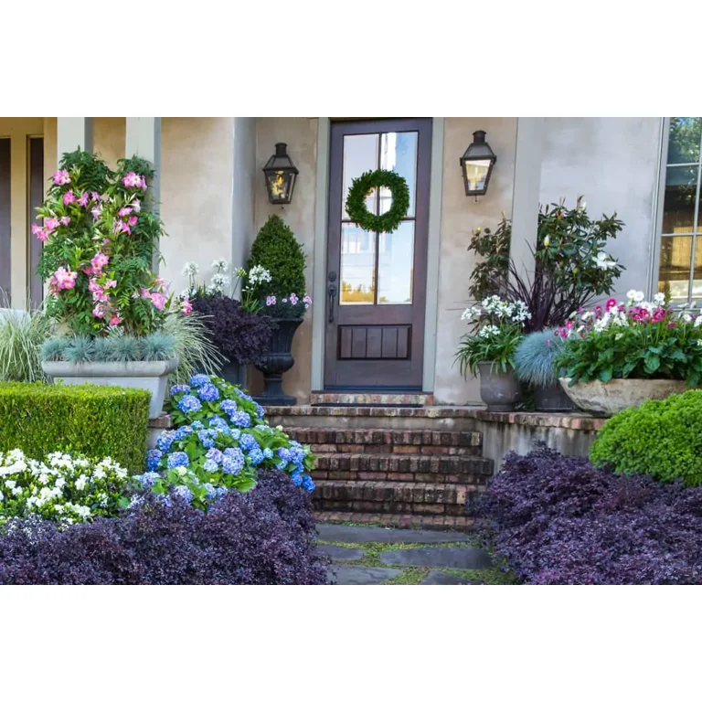 Southern Living Purple Daydream Loropetalum Live Shrub in 2-Gallon