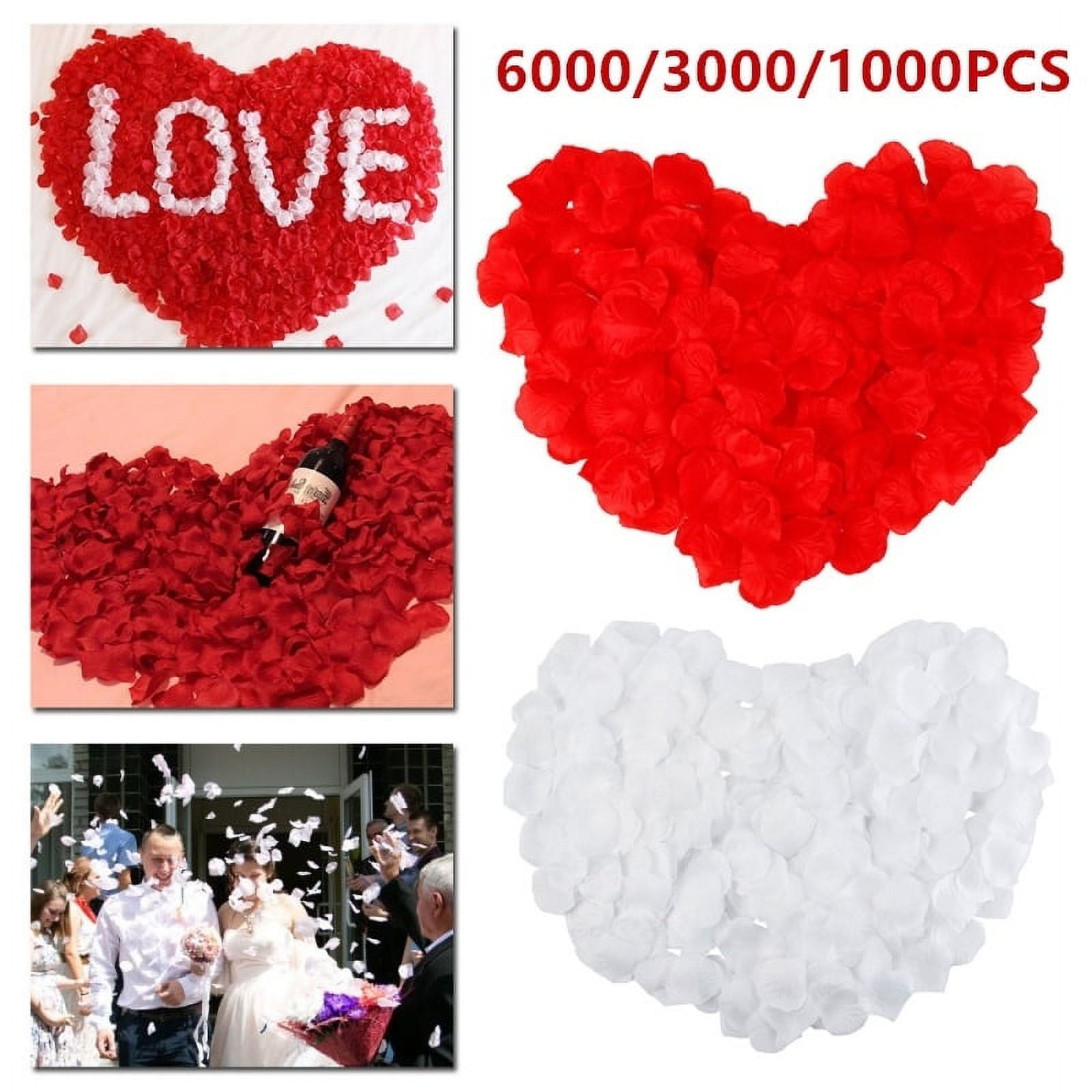 Zyoung 3000 Pieces Black Rose Petals Fake Artificial Flower Petals for Valentine Day,Wedding,Party Decoration,Romantic Night