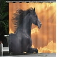 thumbnail image 4 of Ambesonne Nature Shower Curtain, Galloping Friesian Horse, 69"Wx84"L, Black Orange, 4 of 5