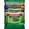 Pennington 1lb Ultimate Bare Spot N