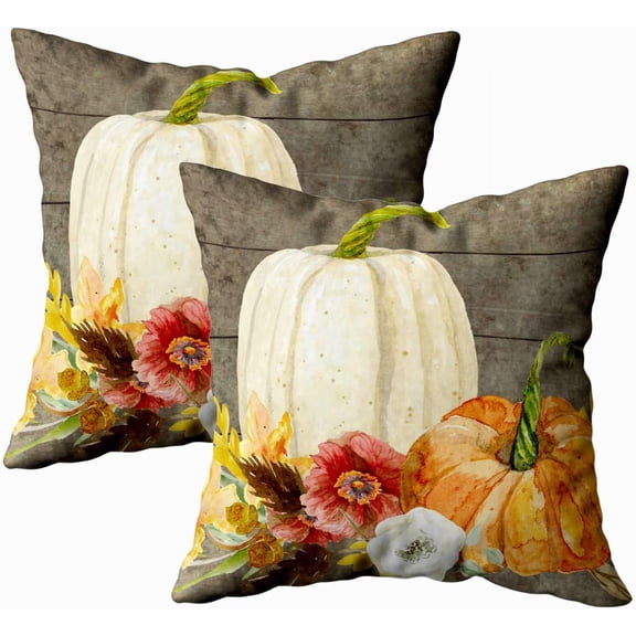 Sofa Pillow Covers, Zippered Pillowcases 18X18Inch 2 Pack Throw Pillow Covers Watercolor White Pumpkin red Poppy Fall Leaf Wood for Home Sofa
