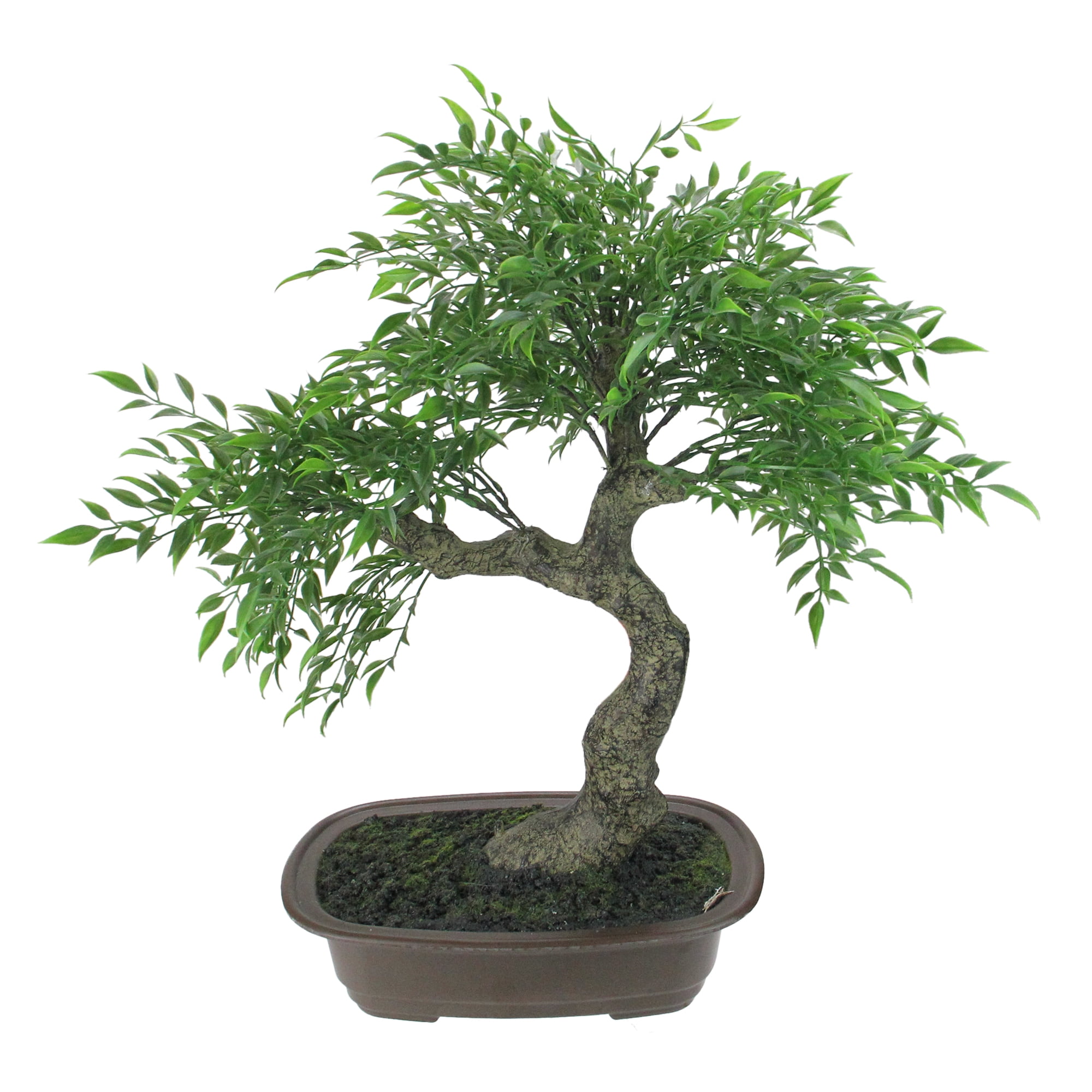 Northlight 18" Bonsai Artificial Potted Plant Green/Brown