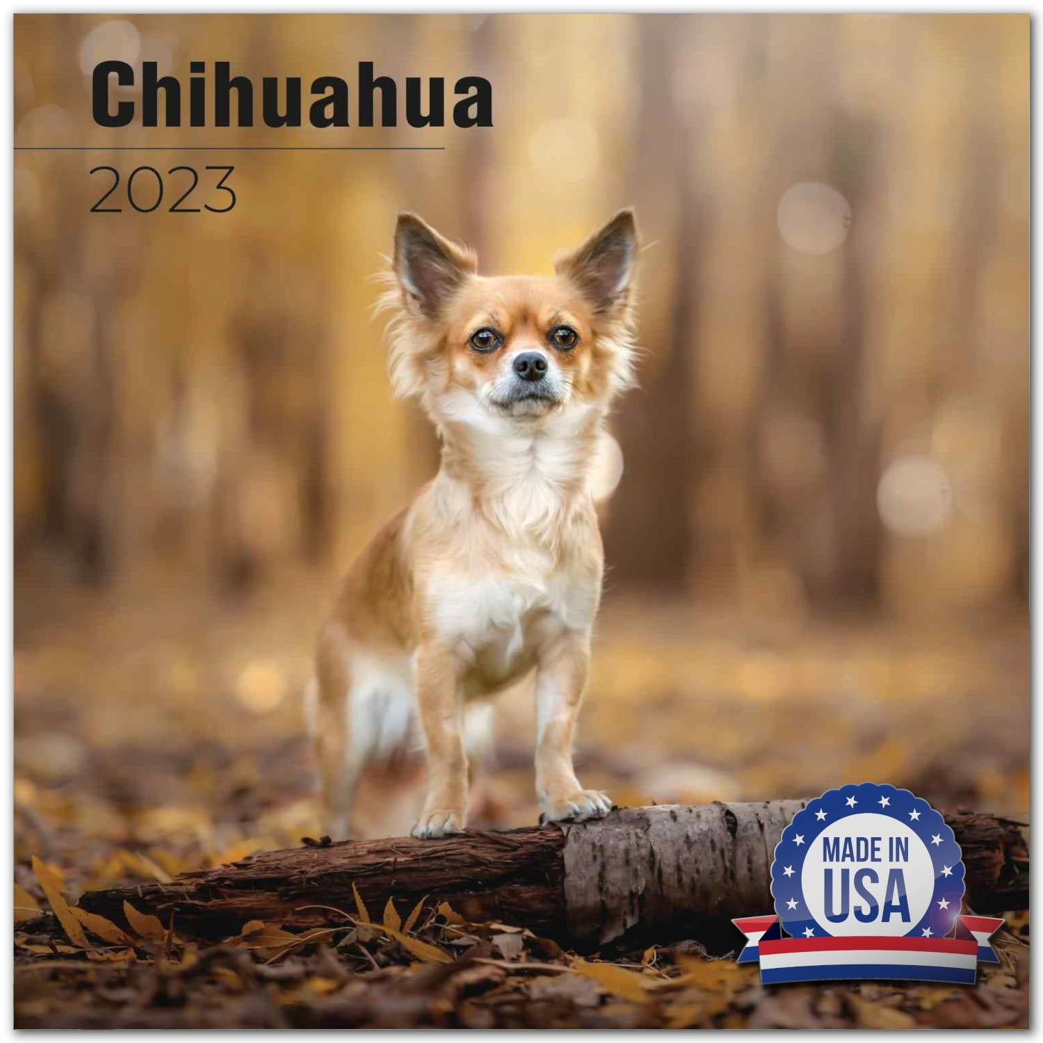 22 23 Chihuahua Calendar Dog Breed Monthly Wall Calendar 12 X 24 Open Thick No Bleed Paper Giftable Academic Teacher S Planner Calendar Organizing Planning Made In Usa Walmart Com