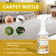 thumbnail image 3 of Indoor Pest Control Spray 16oz for Home and Kitchen –Bug Killer & Insect Repellent, Kills Carpet Beetles, Ants, Spiders, Beg Bugs, Roaches, Flea & Tick- Non Staining-Child and Pet Safe, 3 of 5