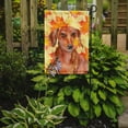 thumbnail image 2 of Carolines Treasures BB9968GF Red Dachshund Fall Flag Garden Size  Small multicolor, 2 of 3