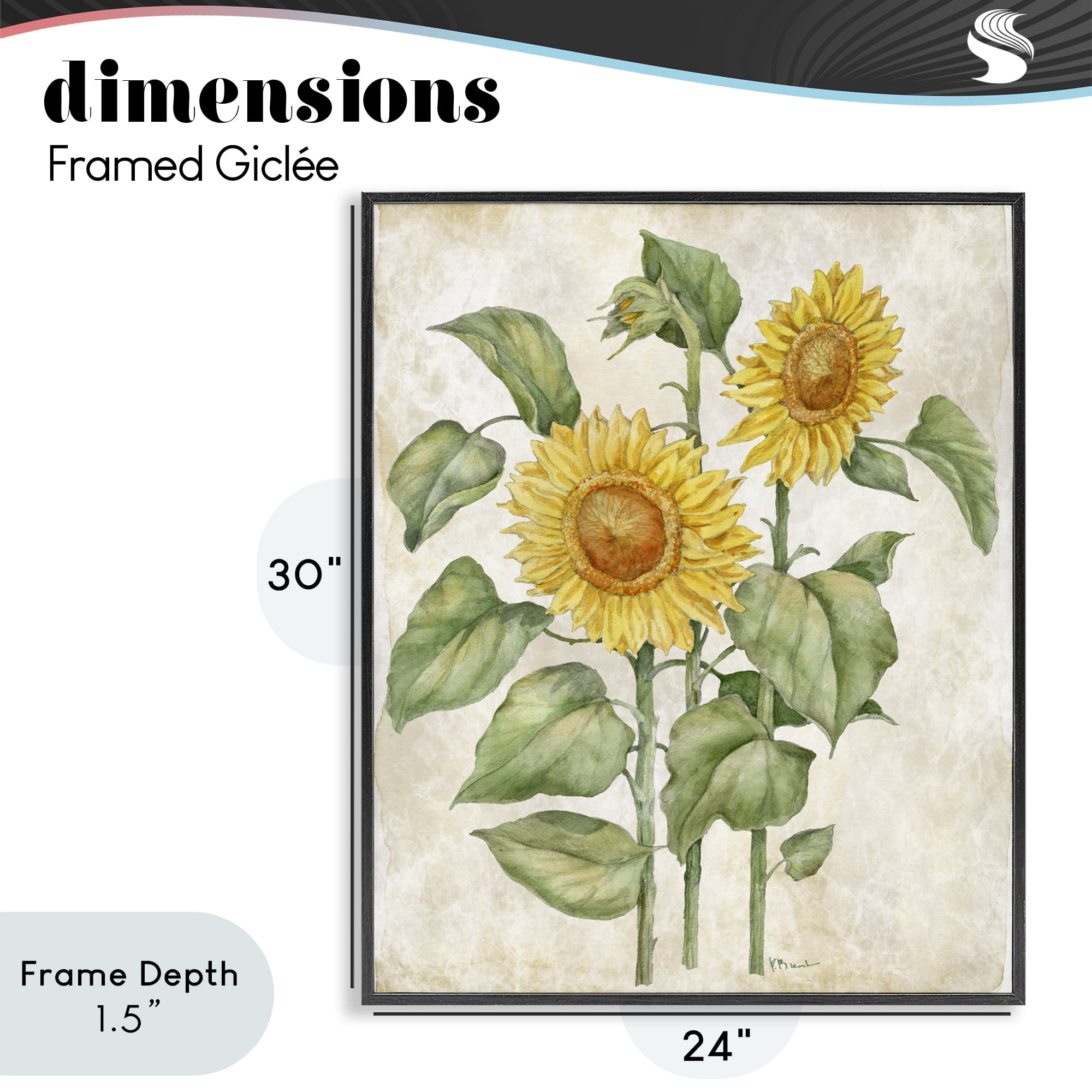 Stupell Industries Floral Journal Vintage Sunflower Black Framed Giclee Art, design by Paul Brent