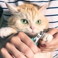 thumbnail image 5 of coupé Griffes Pour Chat Professionnel(vert Noir), Coupe Ongle Pour Chiot Lapin Oiseau Et Petits Animaux, Ciseaux Acier Inoxydable, Radian Design, 5 of 5