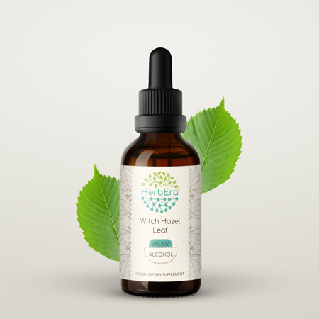 Witch Hazel Leaf Alcohol Herbal Extract Tincture, Super-Concentrated Organic Witch Hazel Leaf (Hamamelis virginiana) Dried Leaf 2 oz