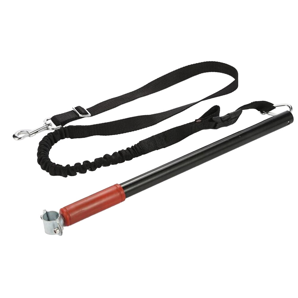dog bike leash walmart