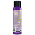 Raid Bed Bug Foaming Spray, Treatment to Kill Pyrethroidresistant Bed