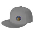 thumbnail image 1 of DouZhe Flat Brim Cap Snapback Hat, Wisconsin State Emblem Prints Adjustable Gray Adult Baseball Cap, 1 of 6