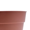 thumbnail image 4 of maceta plástica con plato 20.2cm terracota, 4 of 4