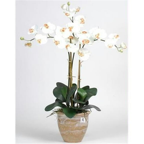 Triple Stem Phalaenopsis Silk Orchid Arrangement