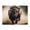 500 Pieces, variant on 500-Piece Wooden Jigsaw Puzzle for Adults & Families - Running Bison Wild Animal , Fun & Educational Brain-Teasing Game, Artistic Home Decor