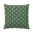 thumbnail image 1 of Ahgly Company Indoor Square Contemporary Throw Pillow, 18 inch by 18 inch, 1 of 5
