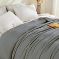 thumbnail image 4 of Cozy Flannel Blanket Printed King Size Bed Blanket for Home Decoration Ultra Soft Lightweight Microfiber Throws King 108 Mid Gray 50"x60", 4 of 8