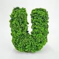 thumbnail image 3 of I Heart / Love You  Preserved Bowl Filler Set Romantic Floral Decor- Green Red, 3 of 10