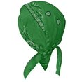 thumbnail image 1 of Paisley Doo Rag Du Rag Do Cotton Bandana Headwrap PICK COLOR Chemo Cap (Kelly Green Paisley Reg), 1 of 1