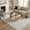 Beige/Gray, variant on Valeria 2'7" x 7'10" Beige/Ivory Abstract Performance Indoor Area Rug
