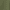 Green Lichen, variant on Ozark Trail Men's & Big Men's Softshell Jacket, Sizes S-3XL