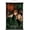 Premium Print and Black Hanger Bundle, variant on Trends International Harry Potter 6 - Trio Poster
