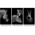 thumbnail image 1 of Rosework Framed Canvas Wall Art, 12x18 Inch, 3 Panel Black and White Animal, Made In USA, 1 of 6